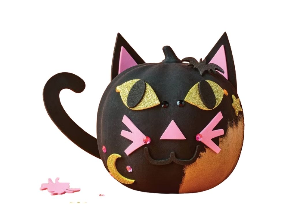 Cats and Cake Pops